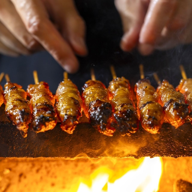 a0e9637d5bc3b81502e76ce1a2a3e0ff